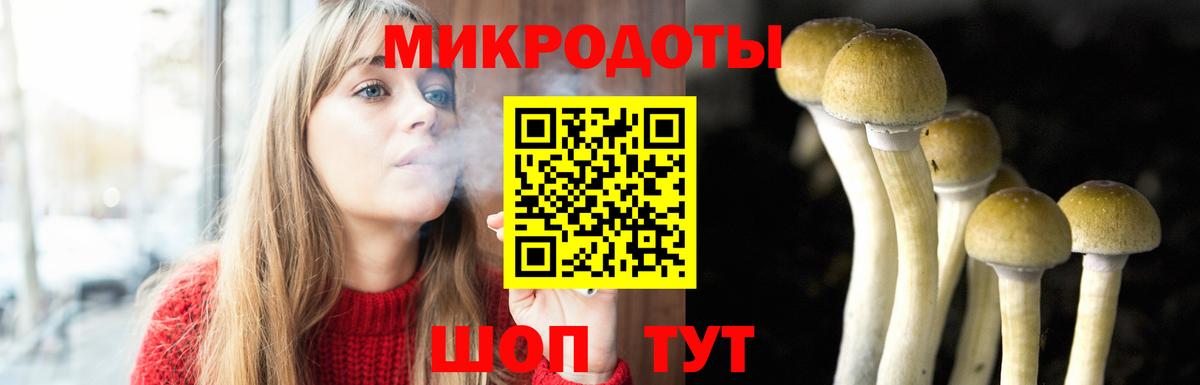 Галлюциногенные грибы ЛСД  Галлюциногенные грибы прущие грибы  Анапа  Вход с VPN 